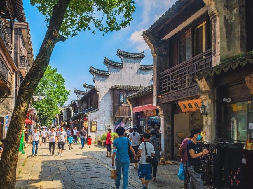 发财树的养殖方法和注意事项分别是？游戏画面